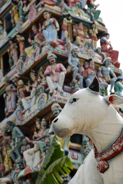Tempio di Sri Mariammam — Foto Stock