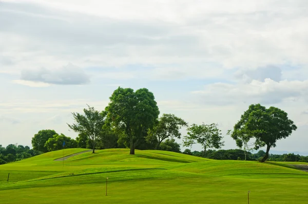 Грины для гольфа — стоковое фото