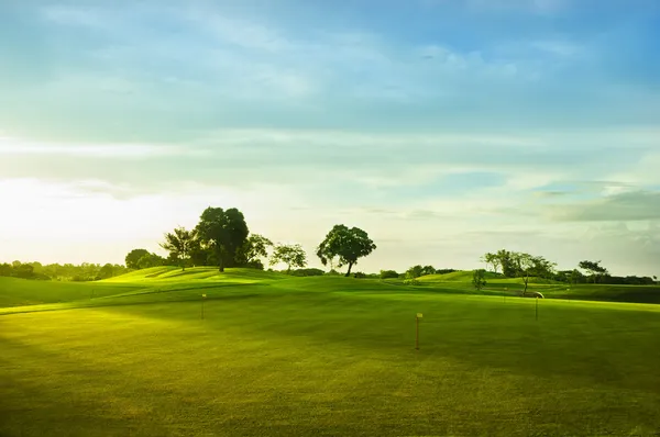 ゴルフ緑 ストック画像