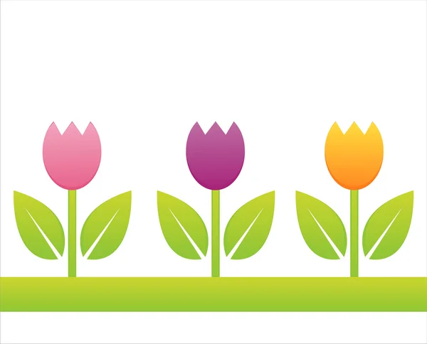 Barevné tulipány — Stockový vektor