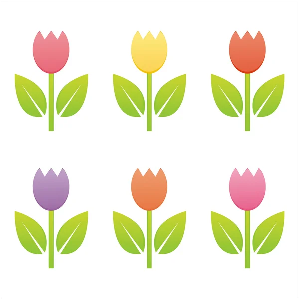 Set Colorful Tulips — Stock Vector