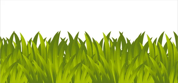 Gras isoliert auf weiß — Stockvektor