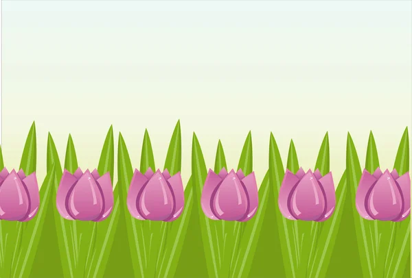 Tulips background — Stock Vector