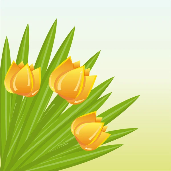 Bando de tulipas fundo —  Vetores de Stock