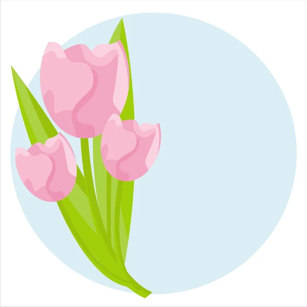 Tulips over blue background — Stock Vector
