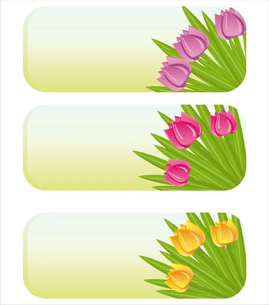 Bandeiras de primavera com tulipas —  Vetores de Stock