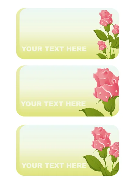Gyönyörű rózsák bannerek — Stock Vector