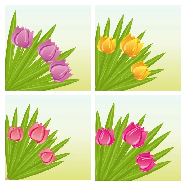 Milieux de tulipes colorées — Image vectorielle
