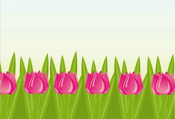 Tulips background — Stock Vector