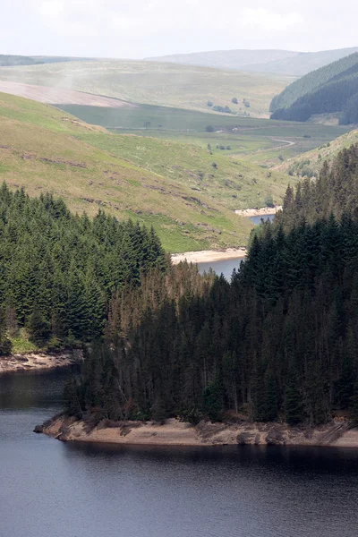 Озеро Ллин Врианн Окружено Деревьями Горами Уэльсе — стоковое фото