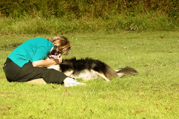 犬および所有者が公園で遊んで — ストック写真