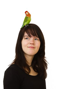 Girl with her beloved pet on her head: a lovebird, on white clipart