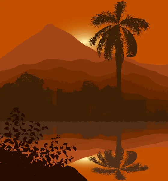 棕榈日落 — 图库矢量图片