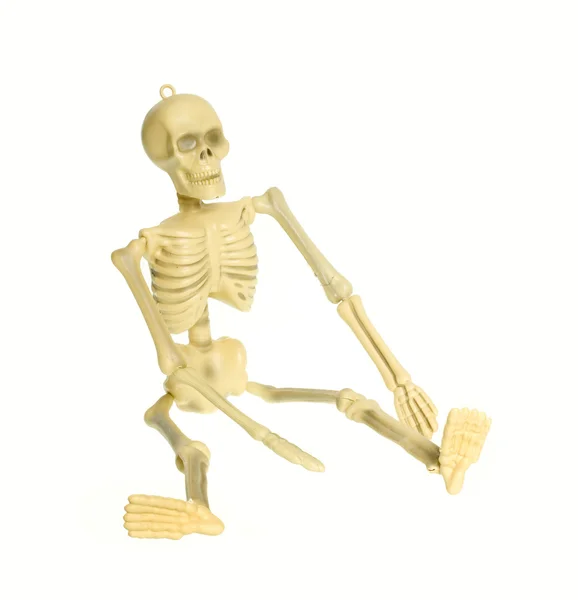 Esqueleto aislado —  Fotos de Stock