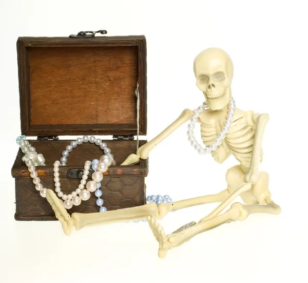 百宝箱的骨骼 — 图库照片