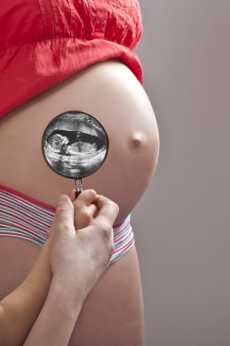 Ultrasound image in view clipart