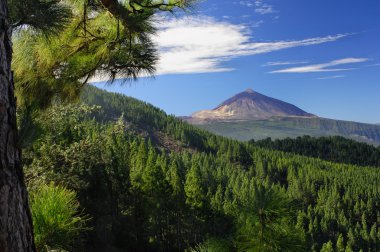 Teide Dağı ve orotava Vadisi