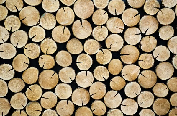 stock image Stacked tree slices