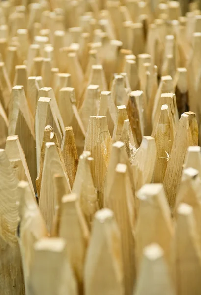 Nabroušené dřevěné sloupky — Stock fotografie