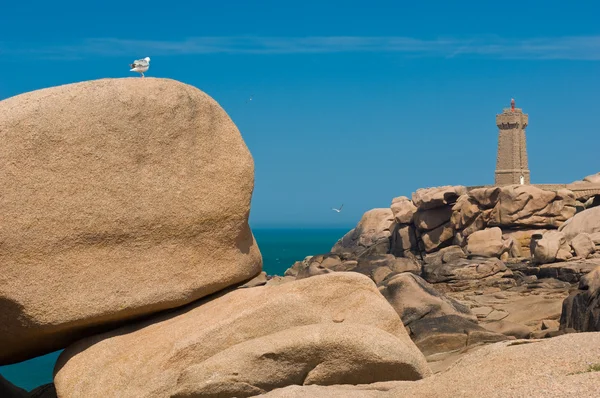 stock image Lighthouse Men-Ruz in Ploumanach on the Cote de Granite, Brittany, France