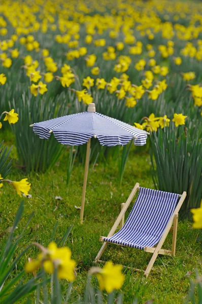 Мініатюрне сонячне крісло і парасолька на нарцисному лузі — стокове фото