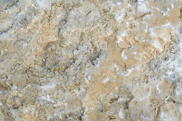 stock image Stone texture