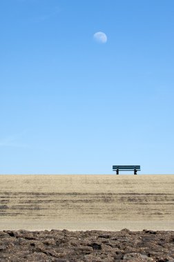 Lonely park bench on a dyke clipart
