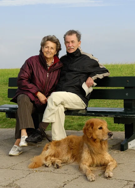 คู่สมรสบนเก้าอี้สวนสาธารณะ — ภาพถ่ายสต็อก