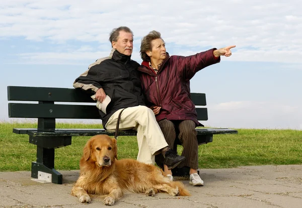 Senior couple on park bench — Stock Photo, Image