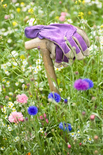 Gardeners gloves in a wild flower meadow — Stock Photo, Image