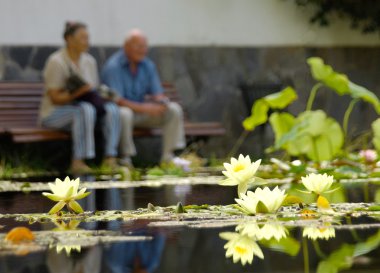 Senior couple sitting at a pond clipart