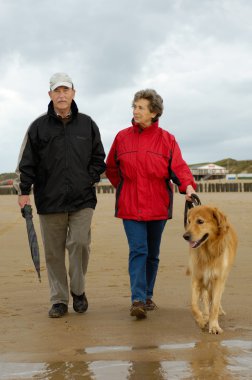 Senior couple with dog on a beach walk clipart