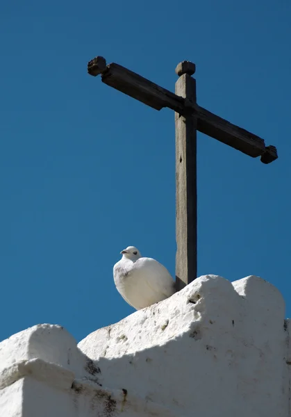 Witte duif onder een kerk Kruis — Stockfoto