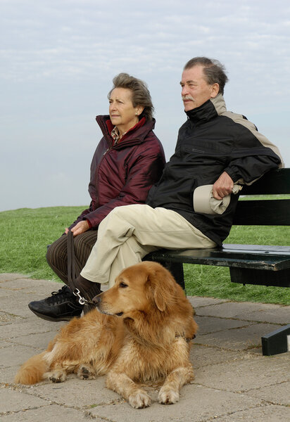Senior couple with dog on a park bench