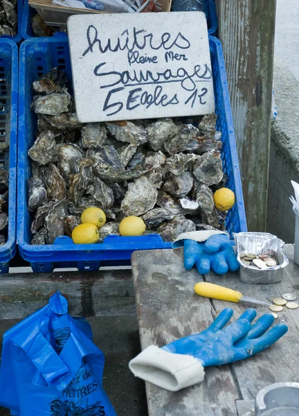 Mercado de ostras — Fotografia de Stock