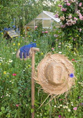 Gardeners gloves in a wild flower meadow clipart