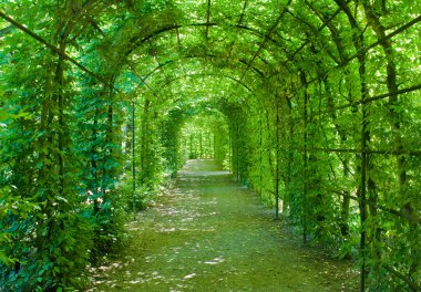 Green archway clipart