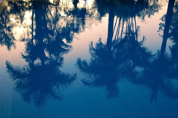 Sunset-reflection at the pool — Stock Photo, Image