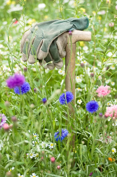 Gardeners gloves in a wild flower meadow — Stock Photo, Image
