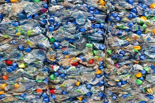 Gran pila de botellas de plástico viejas — Foto de Stock
