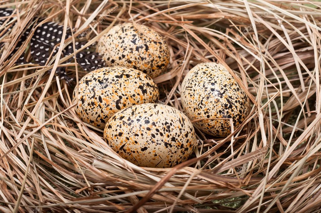 Œufs Artificiels Décoration Faux œufs Décoratifs EQLEF - Décoration Maison Ou Nid, Apparence Réaliste Décoration Pâques Maison