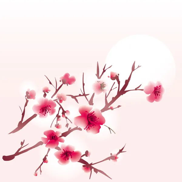Sakura — Wektor stockowy
