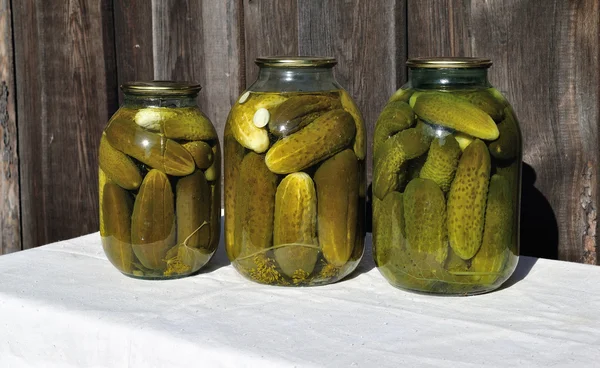 stock image Pickles - Traditional Russian appetizer