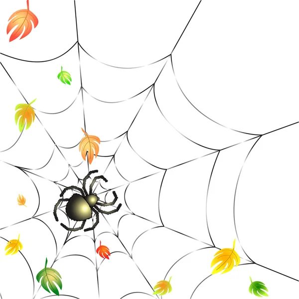 Spider on a Web in Autumn — Stock Vector