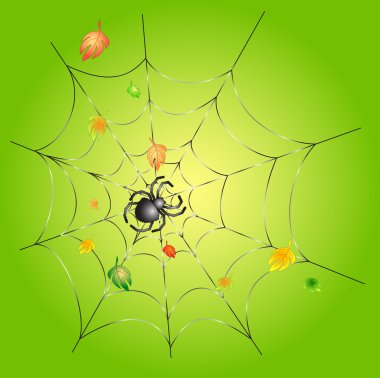 Spider on a Web on a Green Background clipart