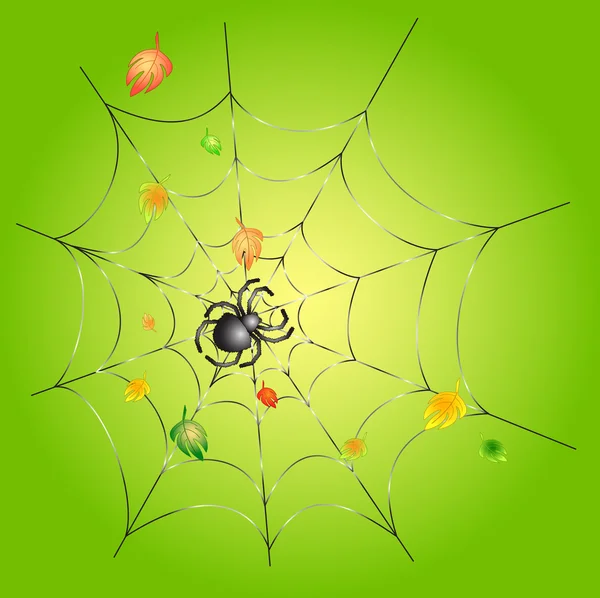 Spider on a Web on a Green Background — Stock Vector