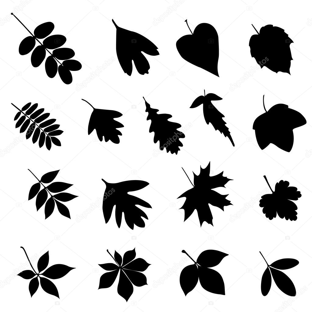 Set of leaf silhouettes — Stock Vector © Mudryuk #5293931
