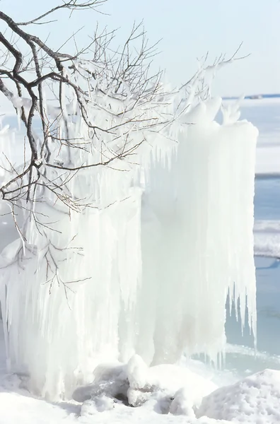Gelo no ramo — Fotografia de Stock