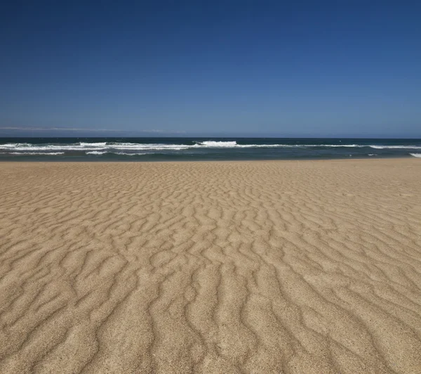Vítr na písku — Stock fotografie