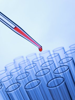 Test tüpleri ve pipette